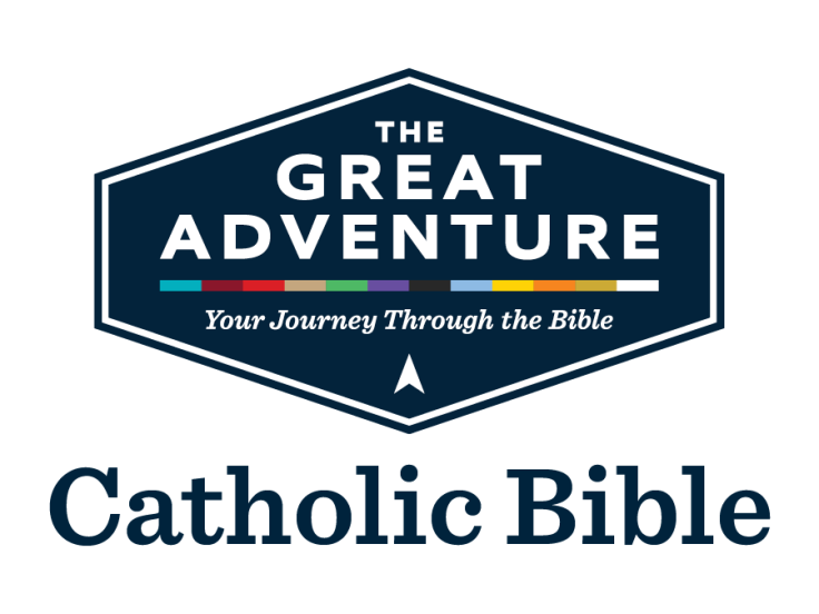 The Great Adventure Bible Timeline Event With Jeff Cavins William